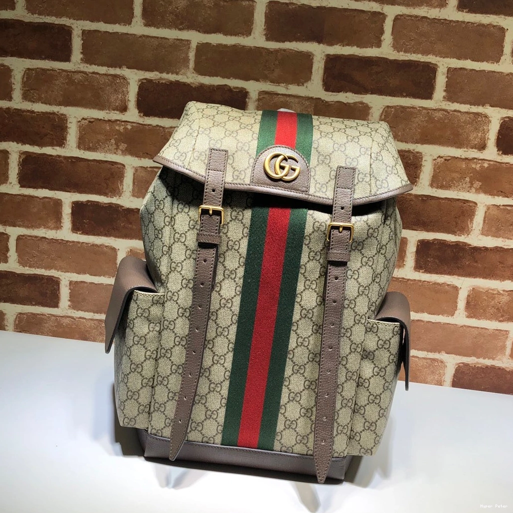 Hyper Peter GG medium Gucci backpack Ophidia 0715